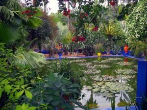 Majorelle Gardens Marrakesh