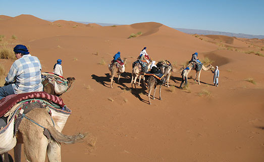 Camel-trekking-in-Sahara-Desert